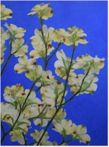 Artists' Link Exhibition: Spring 2025